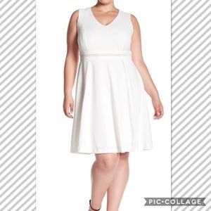 🌻🌻HP!🌻🌻Sandra Darren Dress. Size 24W